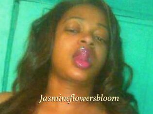 Jasmineflowersbloom