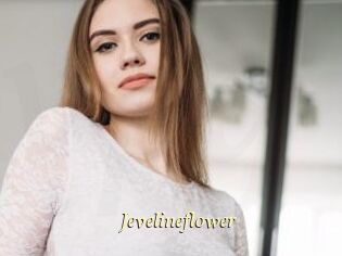 Jevelineflower