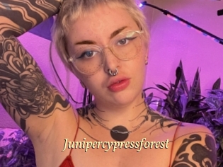 Junipercypressforest