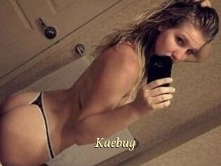 Kaebug