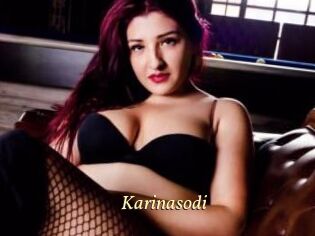Karinasodi