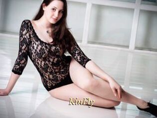 KinFly