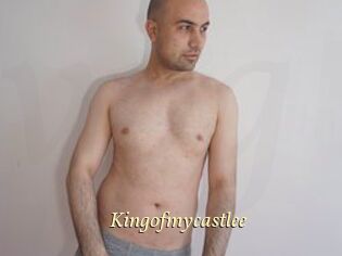 Kingofmycastlee