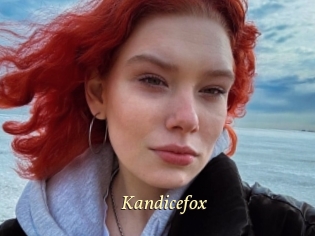 Kandicefox