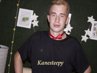 Kanesteepy