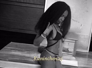 Kaninchen23