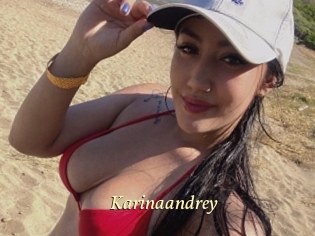 Karinaandrey