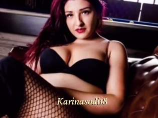 Karinasodi18