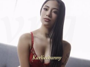 Karlieebunny