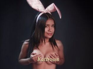 Kattrosen