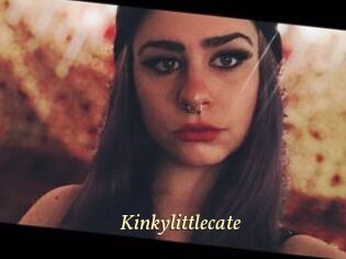 Kinkylittlecate