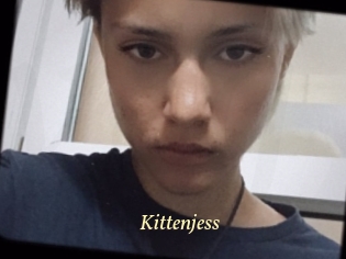 Kittenjess
