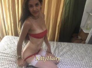 KittyHairy
