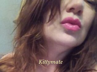 Kittymate