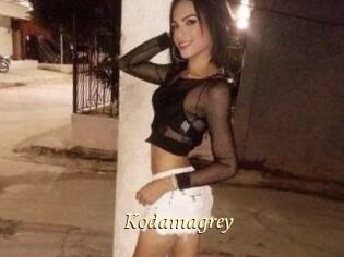 Kodamagrey