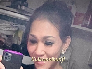Kulkoginikutifi