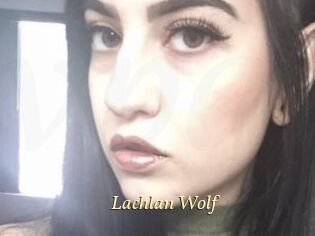 Lachlan_Wolf