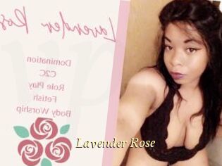 Lavender_Rose