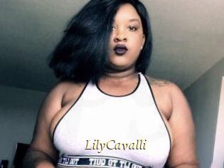 Lily_Cavalli