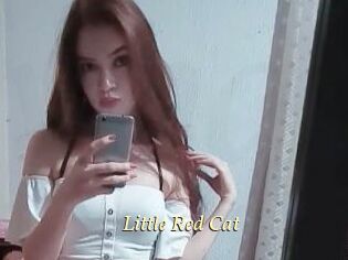 Little_Red_Cat