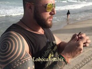 Lobocannabis