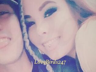 LoveBirds247