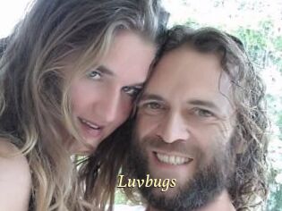 Luvbugs