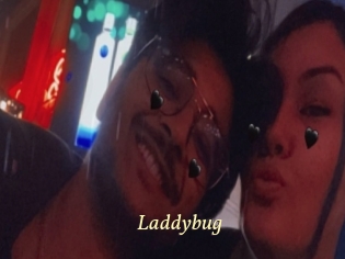 Laddybug