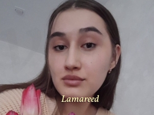 Lamareed