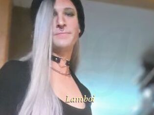 Lamboi