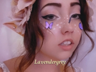 Lavendergrey