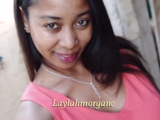 Laylahmorgane