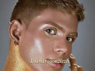 Leandrogonzlezh
