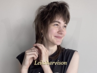 Leilaharvison