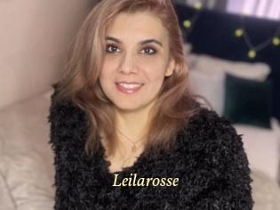 Leilarosse