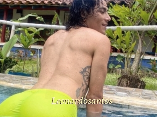 Leonardosantos