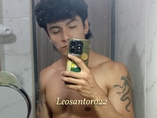 Leosantoro22