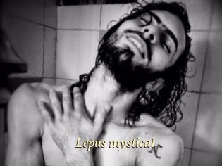 Lepus_mystical