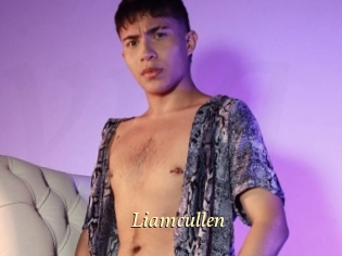 Liamcullen