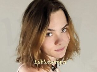 Lilblossompet