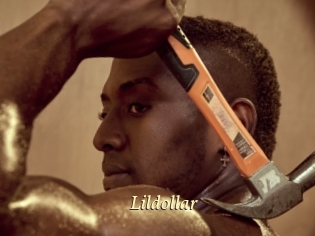 Lildollar