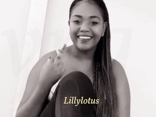 Lillylotus