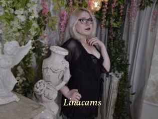 Linacams