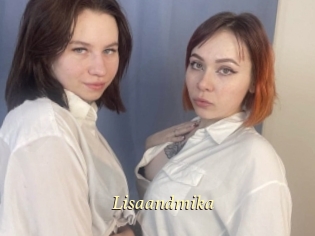Lisaandmika