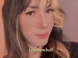 Lisahumbolt
