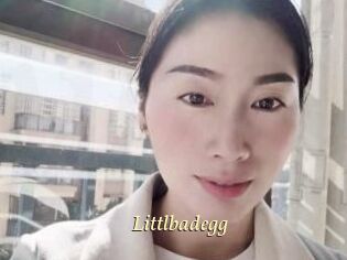 Littlbadegg