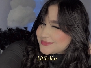 Little_liar
