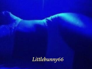 Littlebunny66