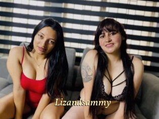 Lizandsammy
