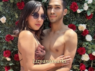 Lizyandmarks